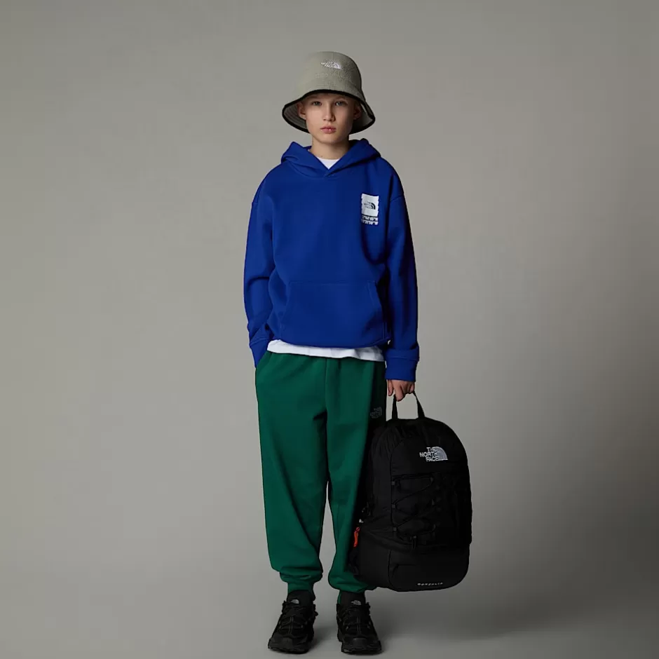 Sweat à Capuche Oversize Coordinates Graphic Pour Garçon<The North Face Hot