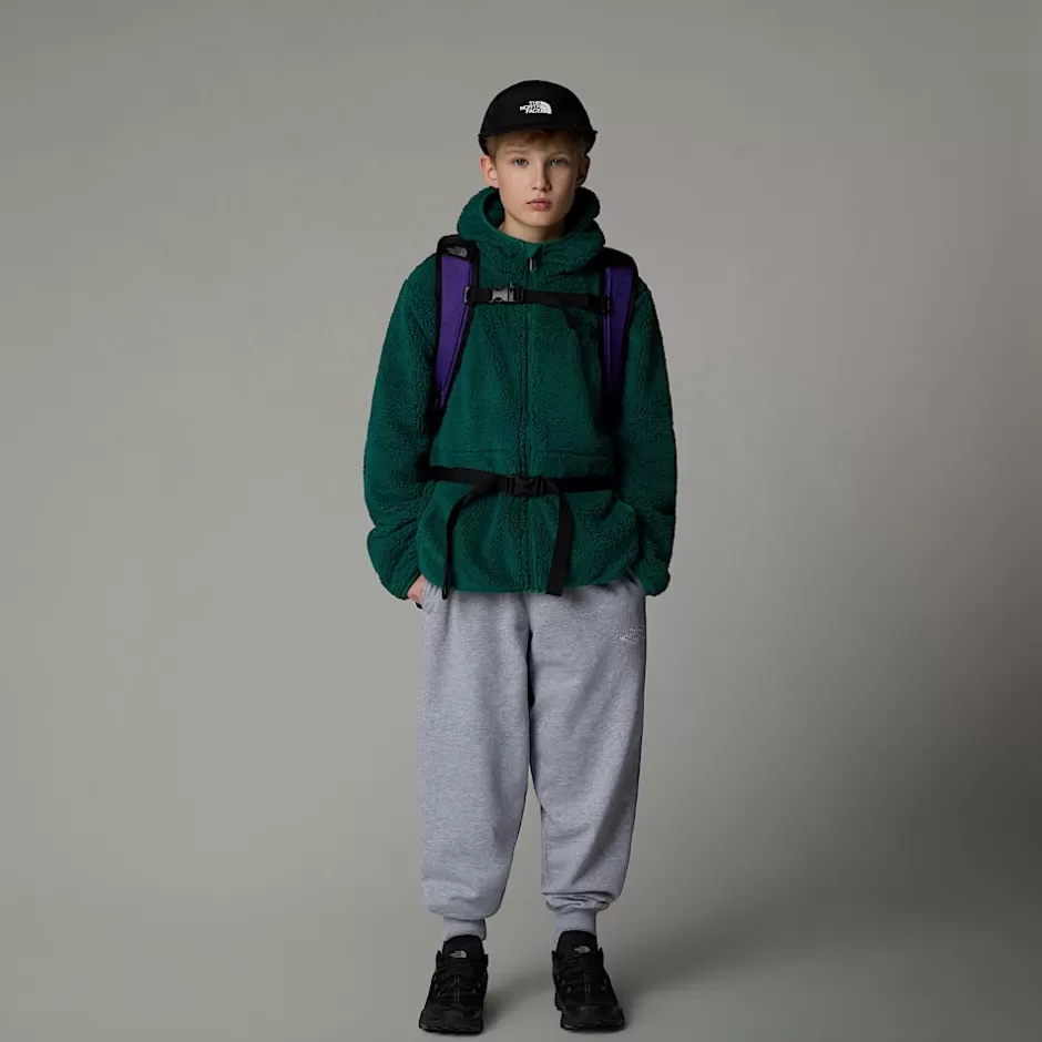 Sweat à Capuche Zippé Campshire Pour Enfant<The North Face Hot