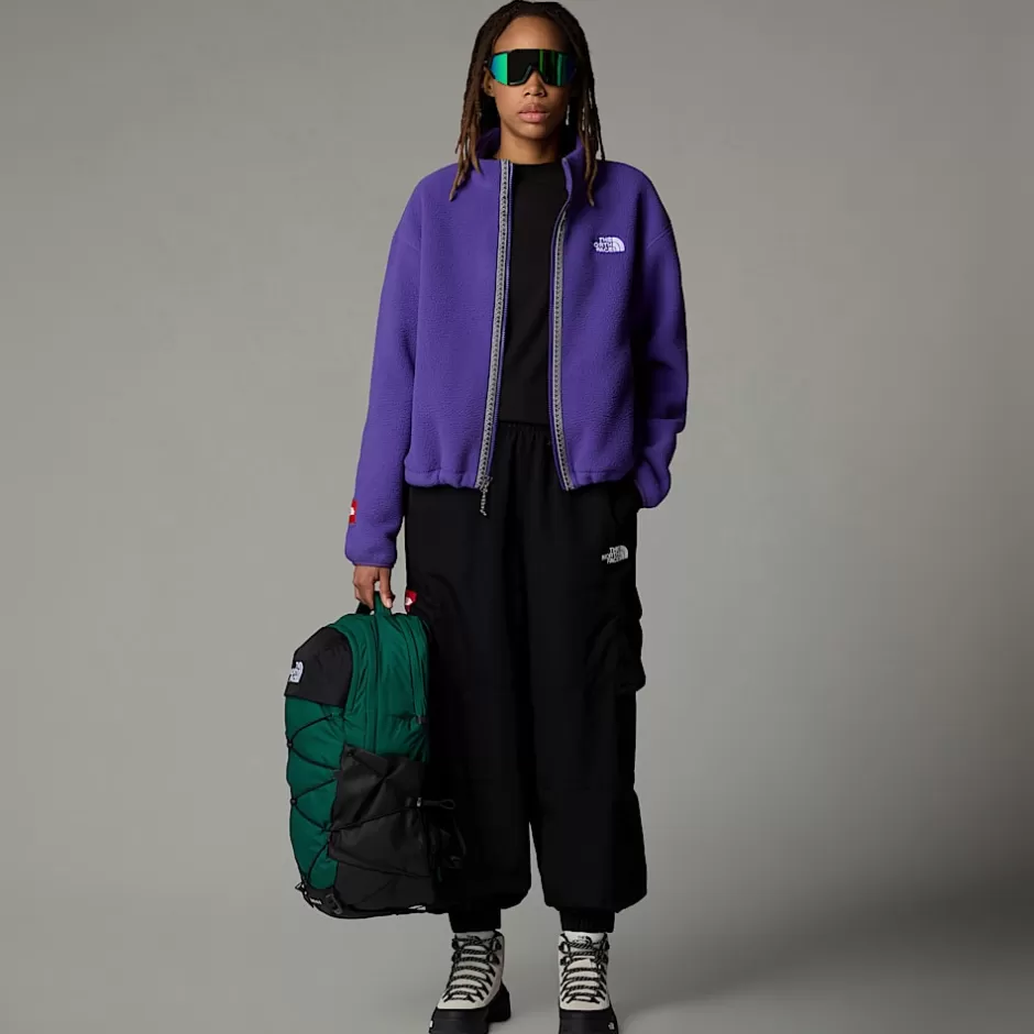 Veste En Polaire Zippée TNF Fleeski Pour Femme<The North Face Online